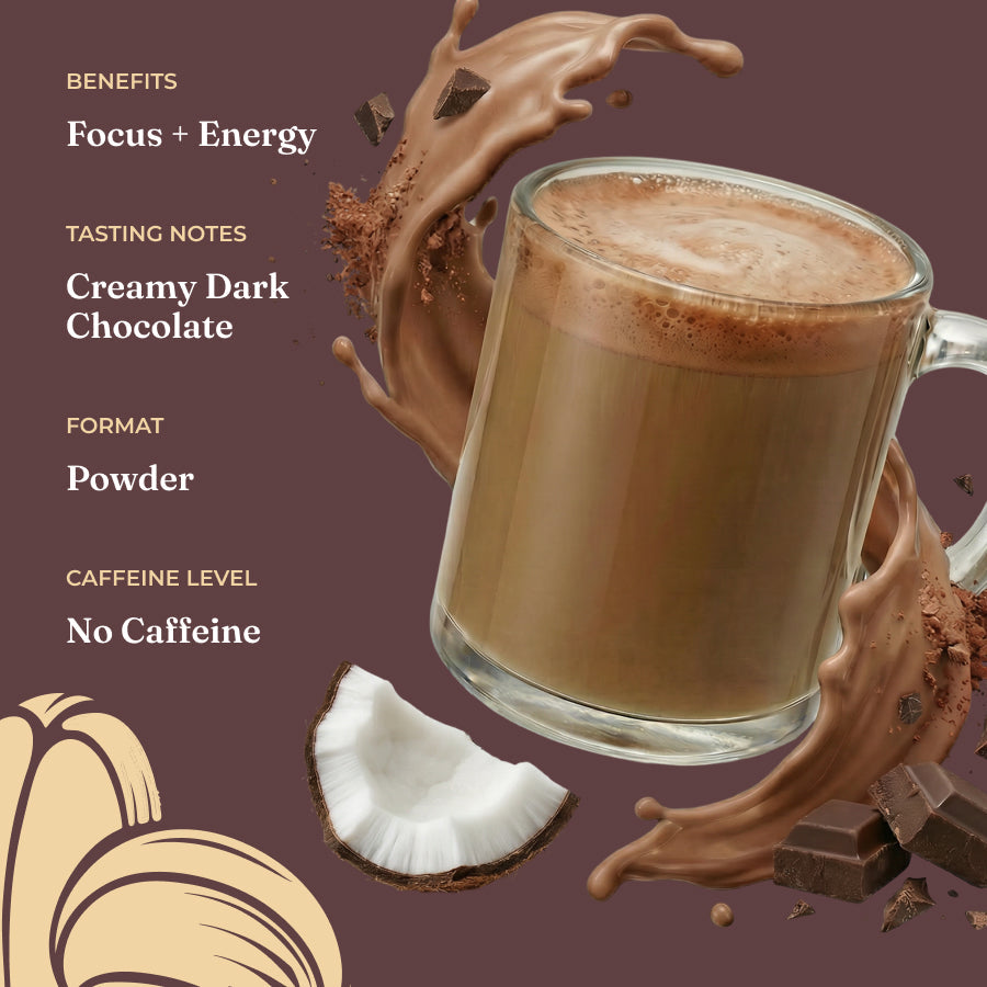 focus-creamer-chocolate-g5 Taste_-_Focus_Creamer_Chocolate_33d92338-1633-40ee-994e-79f359889db6.jpg