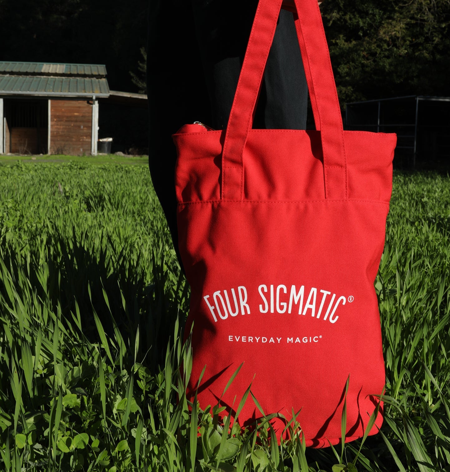tote-backpack-d6 ToteBackpack_PDP_3_50cad221-ea24-4fbc-9e1f-07637d9fdfa3.jpg