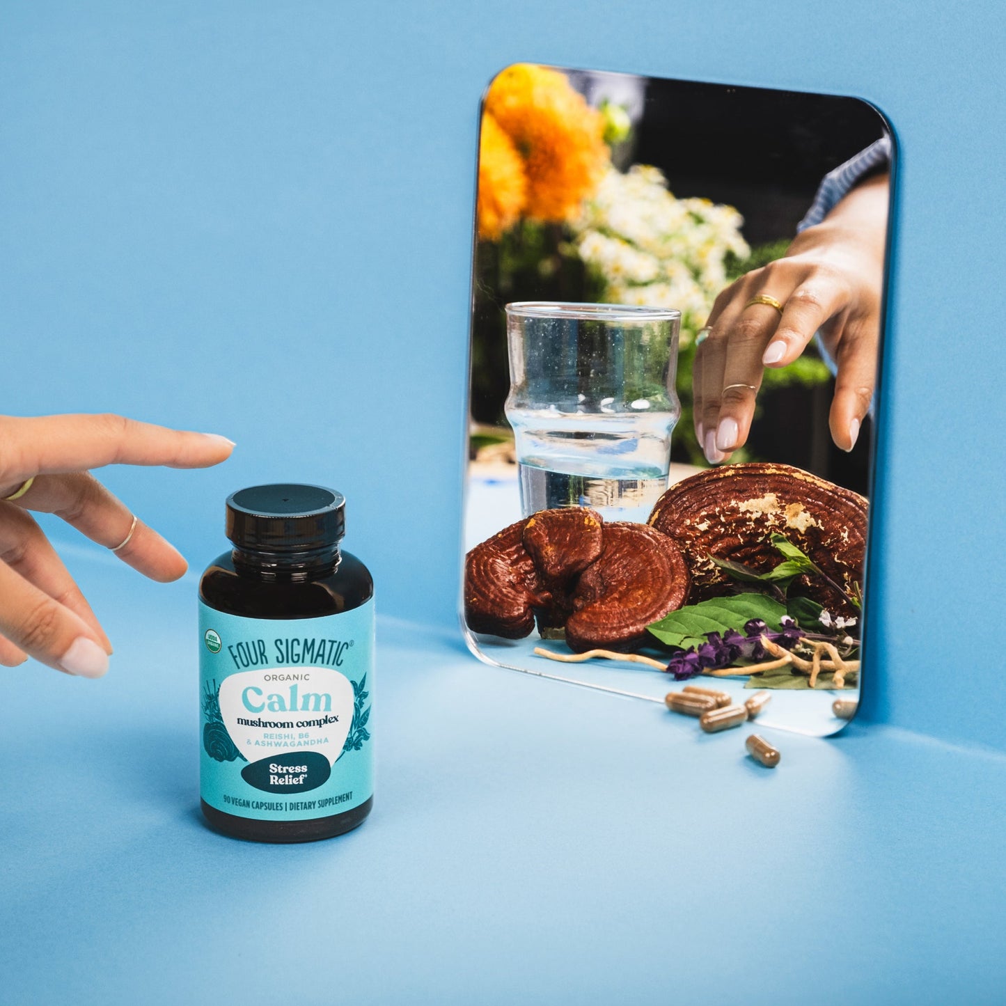 calm-capsules-b7 calm-capsule-1.jpg